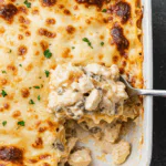 Chicken Alfredo Lasagna